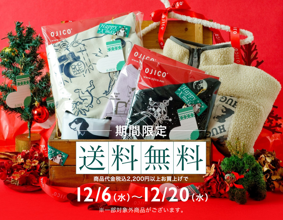 期間限定・送料無料