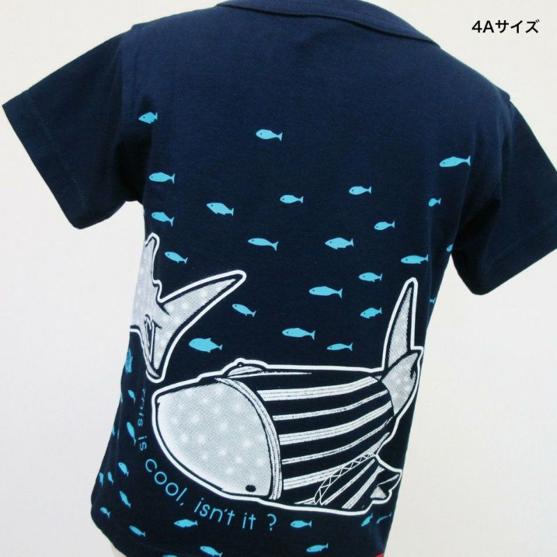半袖Tシャツ「JINBEIZAME」（ジンベイザメ） | TシャツのOJICO