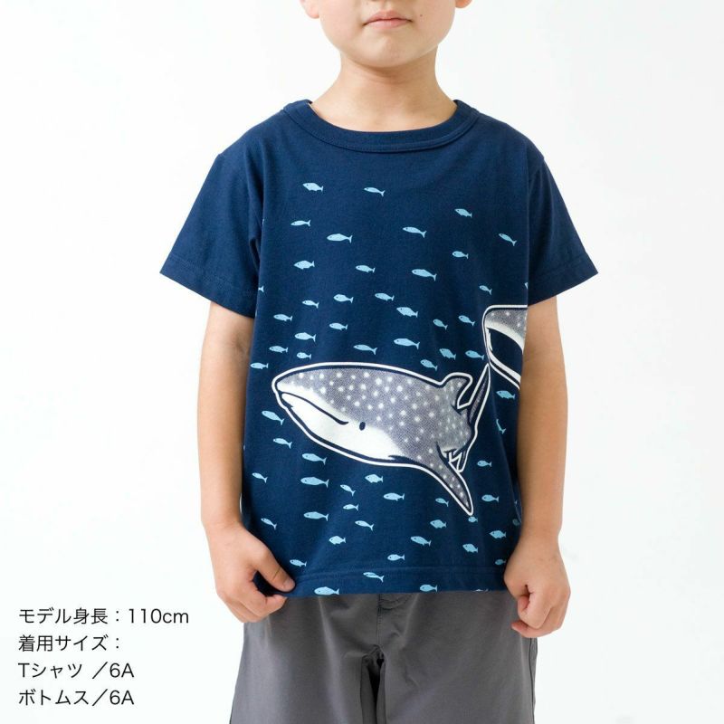 半袖Tシャツ「JINBEIZAME」（ジンベイザメ） | TシャツのOJICO