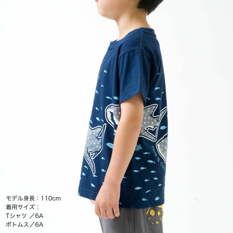 半袖Tシャツ「JINBEIZAME」（ジンベイザメ） | TシャツのOJICO