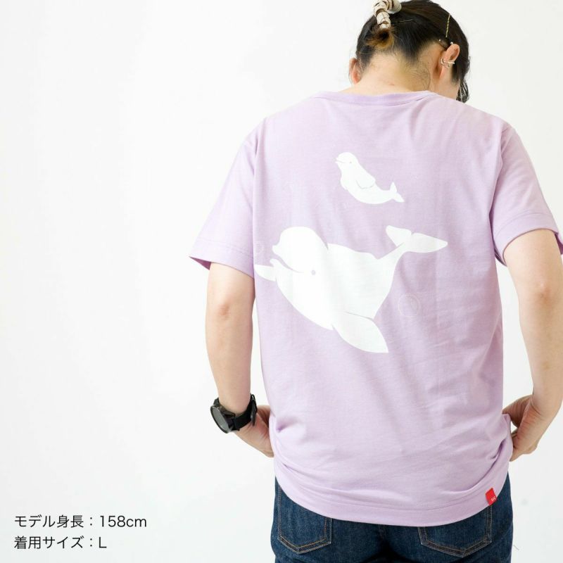 半袖Tシャツ「SHIROIRUKA」（シロイルカ）大人サイズ着用画像・後ろ