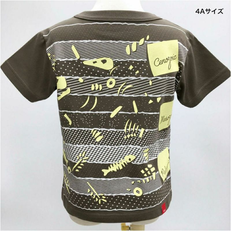 半袖Tシャツ「CHISOU BORDER」（地層ボーダー） | TシャツのOJICO