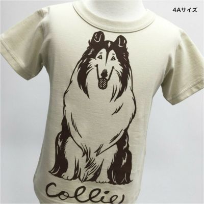 半袖Tシャツ「COLLIE」（コリー）