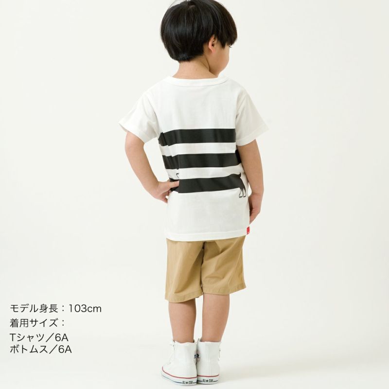 半袖Tシャツ「BOR-DACHSHUND」（ボーダーックスフント）子供サイズ着用画像・後ろ