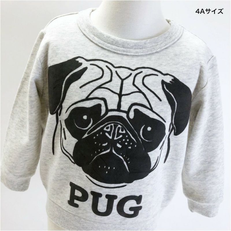 スウェット「PUG」（パグ） | TシャツのOJICO