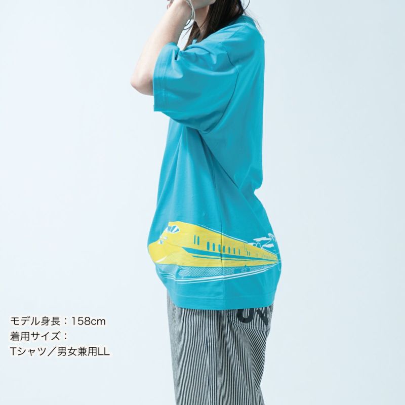 半袖Tシャツ「1FUZI 2TAKA 3Dr.」（1フジ2タカ3ドクター）大人サイズ着用画像・横